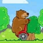 bear on a scooter